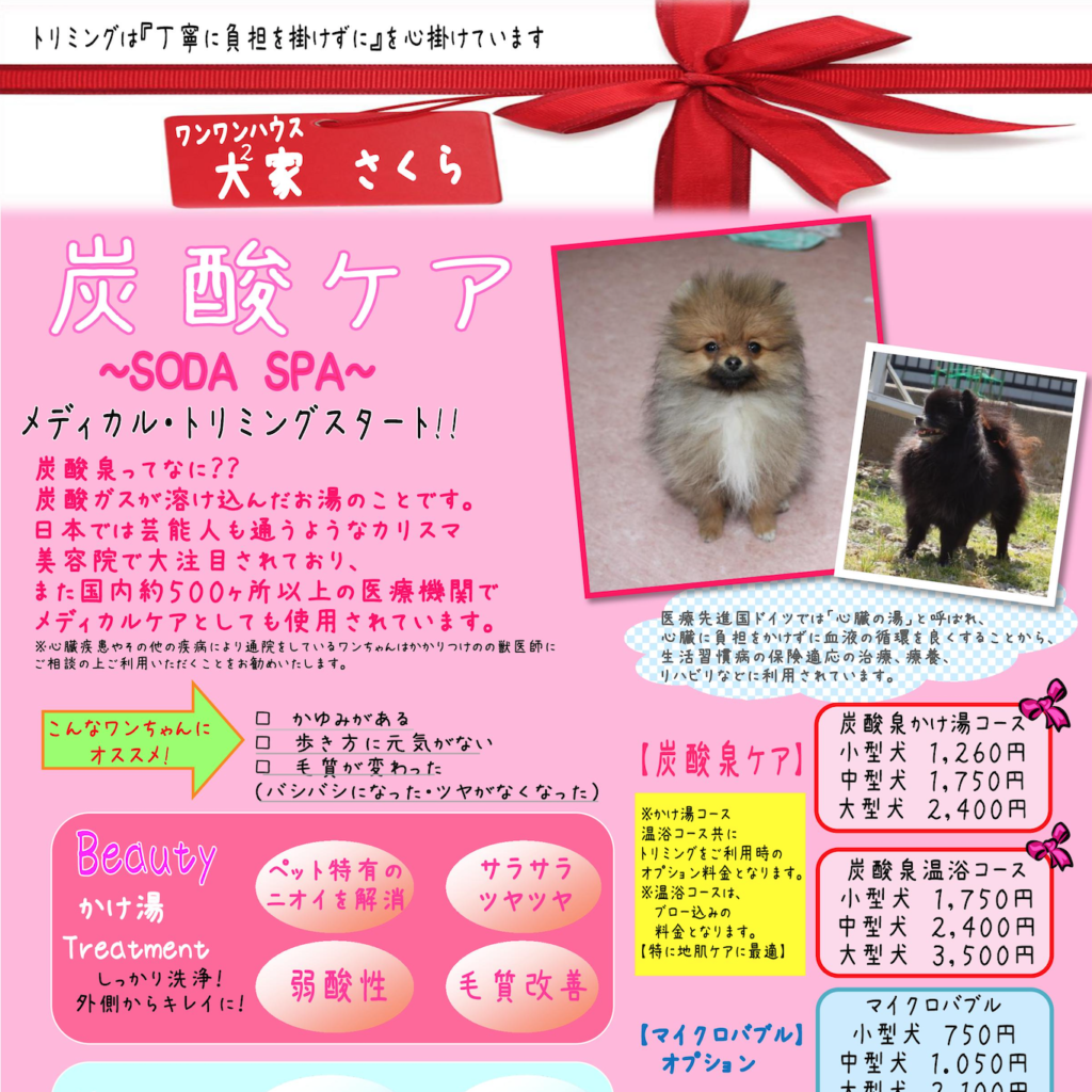 炭酸ケア Soda Spa ワンワンハウスさくら